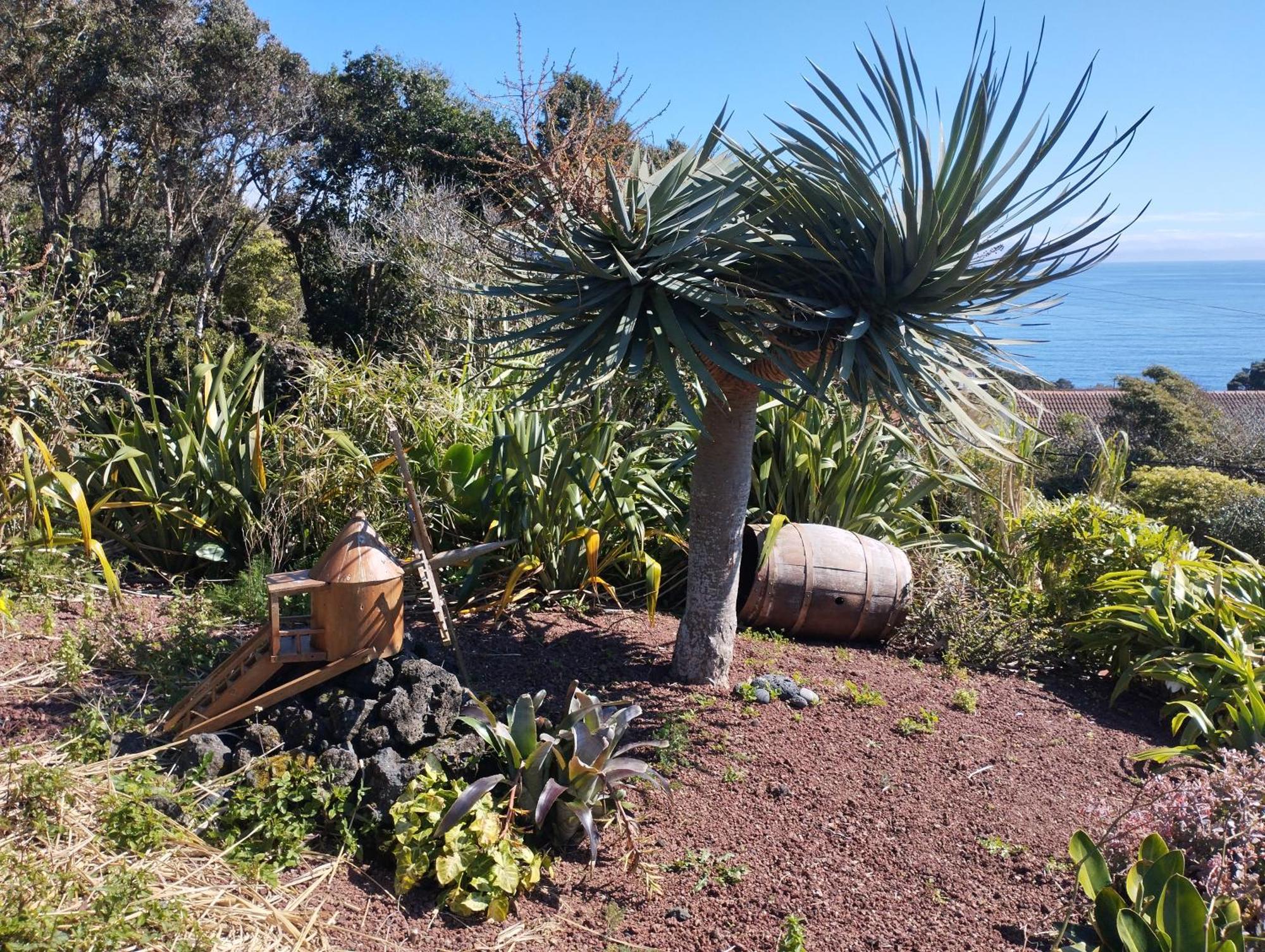 Villa Lobo Do Mar Calheta de Nesquim Exterior foto